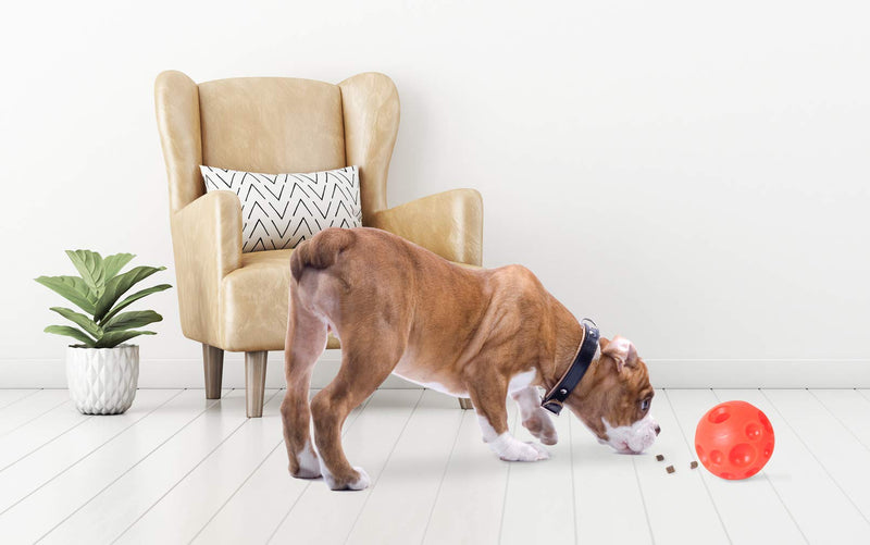 Omega Paw Tricky Treat Ball, Small - BeesActive Australia