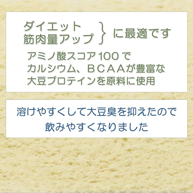 Soy Protein Chocolate Easy-to-drink Soy Protein Refined in Japan Body Wing (1kg) - BeesActive Australia