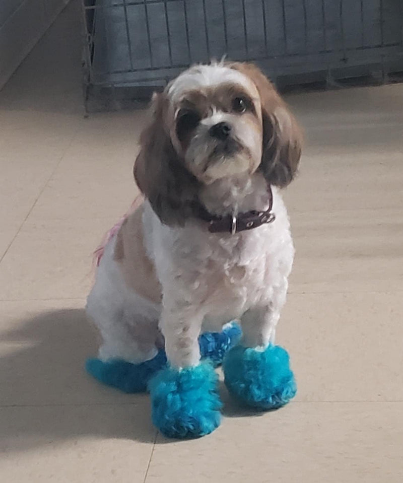 Dog Hair Dye (Aquamarine) - BeesActive Australia