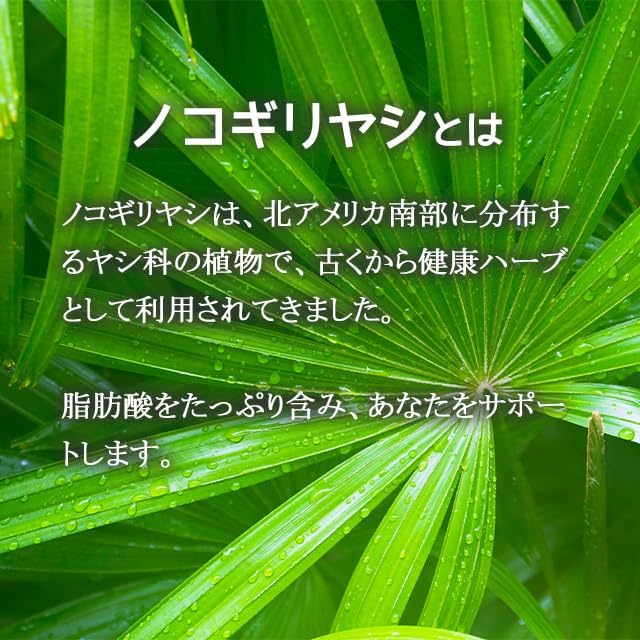 [Official Lipusa] Saw Palmetto Approximately 1 Month's Supply C-142 Supplement Lipusa - BeesActive Australia