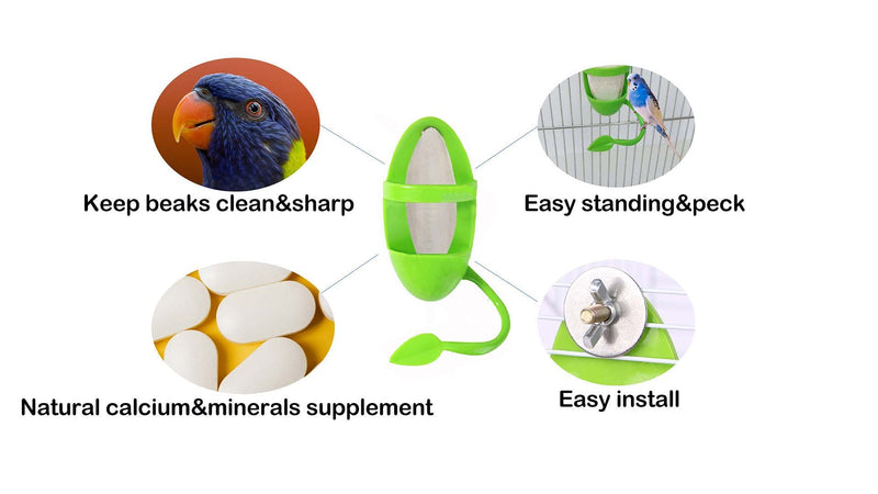 OSWINMART Cuttlefish Bone with Holder (1+2) Sets 3 in 1 Bird Toys(Treat Skewer/Mirror/Perch) Bird Food Holder 3 in 1 Bird Toys(Feeder/Mirror/Perch Bird Toy Toy-A - BeesActive Australia