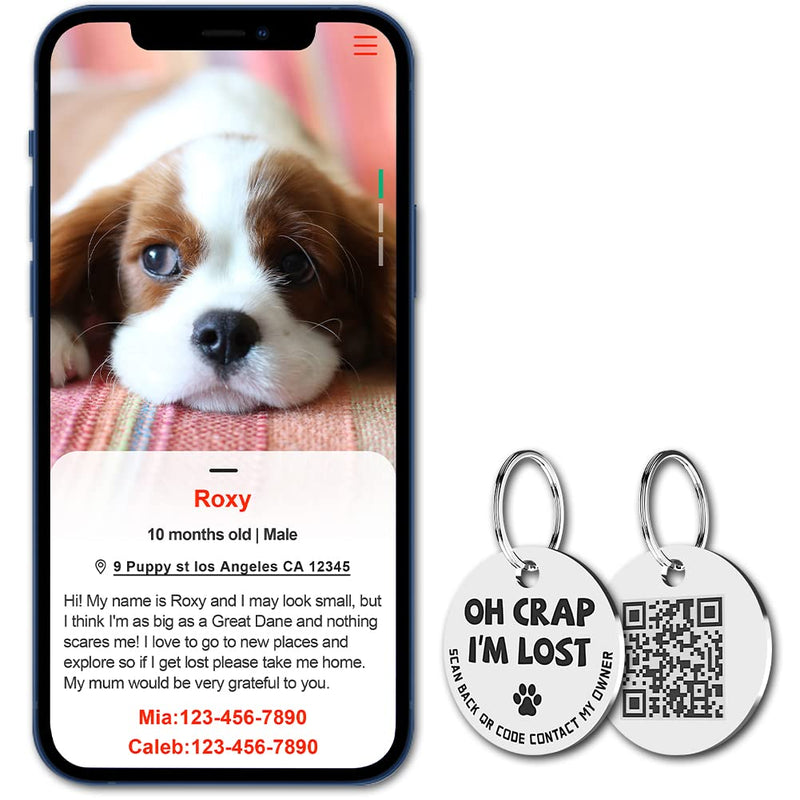 MYLUCKYTAG Stainless Steel QR Code Pet ID Tags Cat Tags - Pet Online Profile - Scan QR Receive Instant Pet Location Alert Email Im Lost,silver - BeesActive Australia
