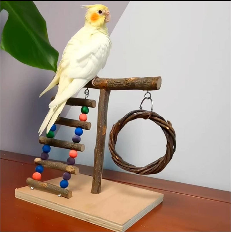 XLpeixin Bird Playground Parrot Playstand Birds Play Stand Wood Exercise Perch Gym Stand Hanging Swing Toys for Small Medium Parakeets Canaries Cockatiels Lovebirds and More… Portable - BeesActive Australia