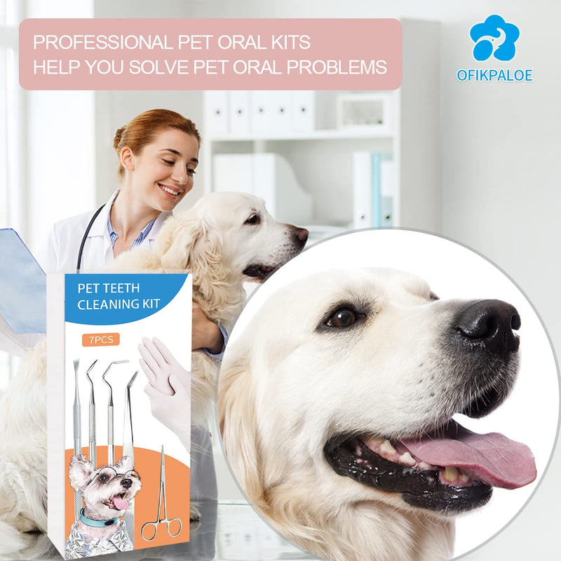 ofikpaloe Dog Teeth Scaler, Double Headed Spatula, Stainless Steel, Tartar Remover Pet Teeth Cleaning Tool for Dogs and Cats 7pcs - BeesActive Australia