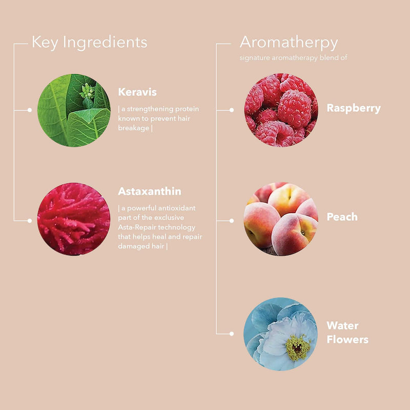 Pureology | Strength Cure | Strengthening Shampoo | For Damaged, Colour Treated Hair | Vegan | 266ml - BeesActive Australia