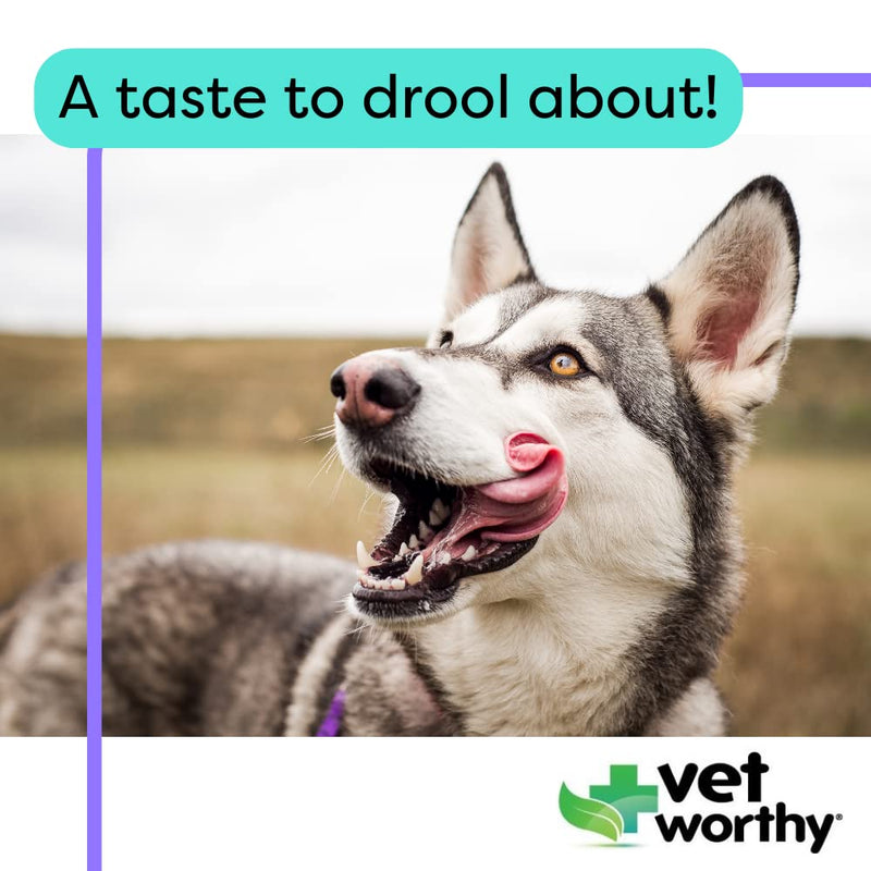 Vet Worthy Stop Stool Ingestion - Daily Supplement for Dogs to Prevent Stool Eating - Dog Supplement with Yucca Schidigera, Parsley Leaf, Chamomile, Thiamine - Liver Flavor, 60 Chewable Tablets - BeesActive Australia