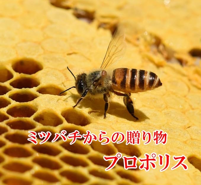 FINE JAPAN Fine Propolis Granules 150 grains Contains 120mg of Propolis Extract - BeesActive Australia