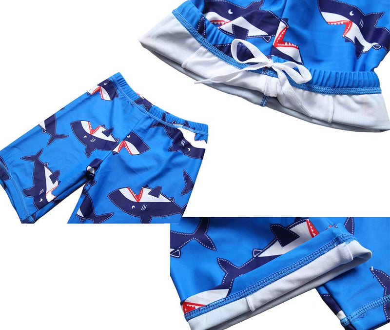 [AUSTRALIA] - Boys Swimsuit,Kids 50+ UPF Rash Guard Bathing Suit Swimwear Set -1-5 Year Sky Blue 5-6T(Height:114-122cm/45"-48") 