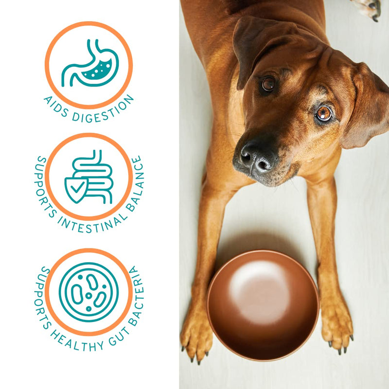 PET CARE Sciences Approx 120 Servings of Dog Probiotic Powder - Dog Probiotics and Digestive Enzymes - Enzyme Supplement for Dogs - Dog Digestive Support - Made in The USA - BeesActive Australia