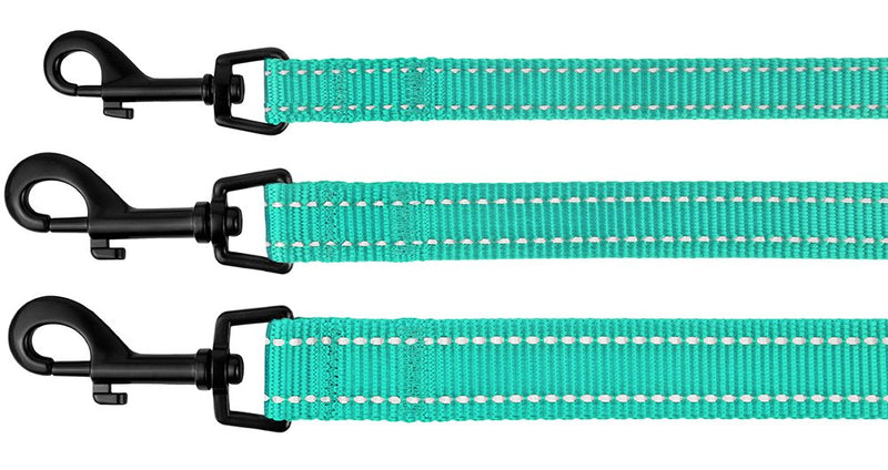 CollarDirect Nylon Dog Leash 5ft for Daily Outdoor Walking Running Training Heavy Duty Reflective Pet Leashes for Large, Medium & Small Dogs Mint Green - BeesActive Australia