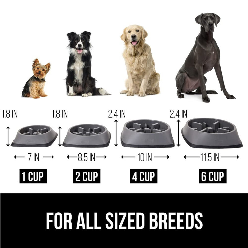 Gorilla Grip Slip Resistant Slow Feeder Dog Bowl, Slows Down Mealtime, Improve Pets Digestion, Healthy Eating Habit, Prevent Dogs and Cats from Overeating, for Dry, Fresh, Wet Pet Food 2 Cup Gray - BeesActive Australia