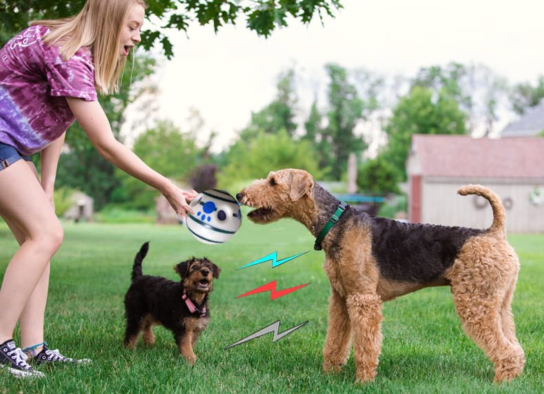 4-Inches Wobble Giggle Dog Ball,Strange dog toy Ball, Luminous ball,Peppy Pet Ball,Training Playing Ball,Glow in the dark dog balls,Rolling ball,Waggle Ball,The best fun giggle sound dog toy,Dog glow ball,Home alone toys - BeesActive Australia