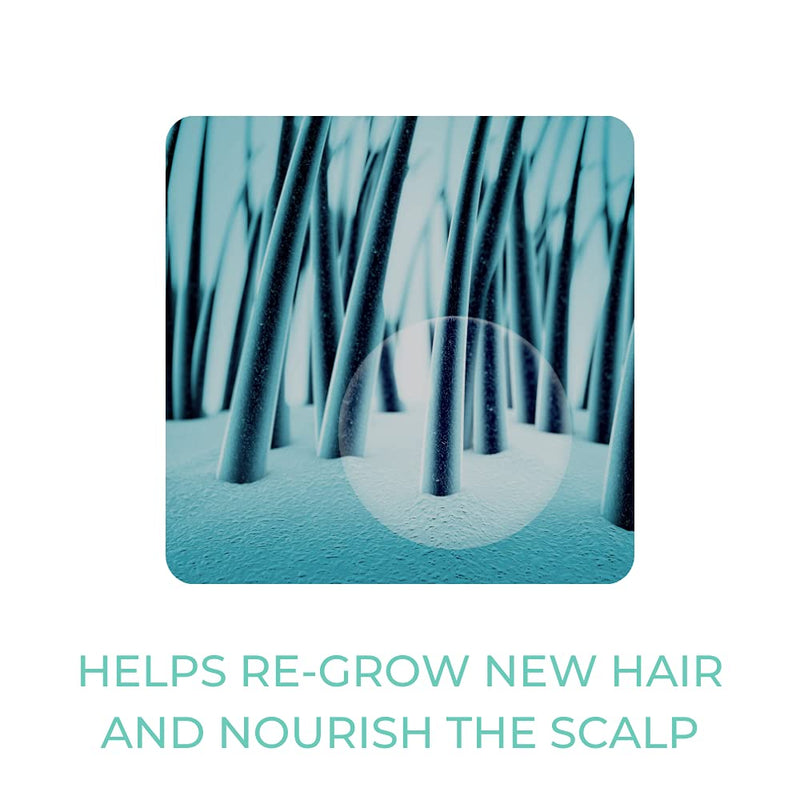 Herbal Hair: Hair Cleanse Oil | Advanced Herbal Tonic | Natural Ingredients | Hair Loss Treatment | Hair Recovery | Strengthen Hair | 120ml - BeesActive Australia