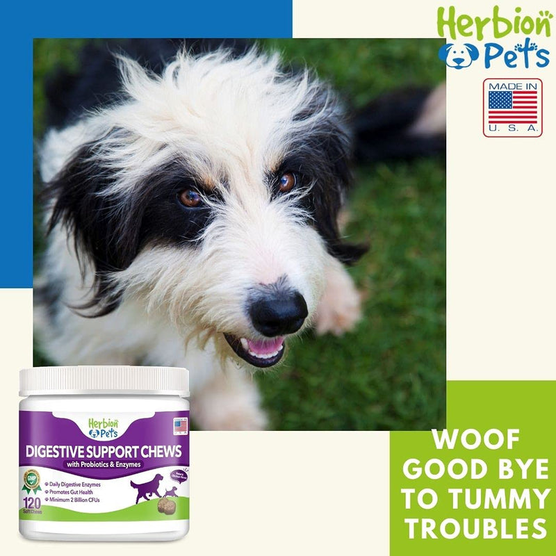 Herbion Pets Digestive Support Chews with Probiotics and Enzymes, 120 Soft Chews - with Daily Digestive Enzymes - for Improved Gut Health - Minimum 2 Billion CFUs - Made in USA - for Dogs 12 Weeks+ - BeesActive Australia