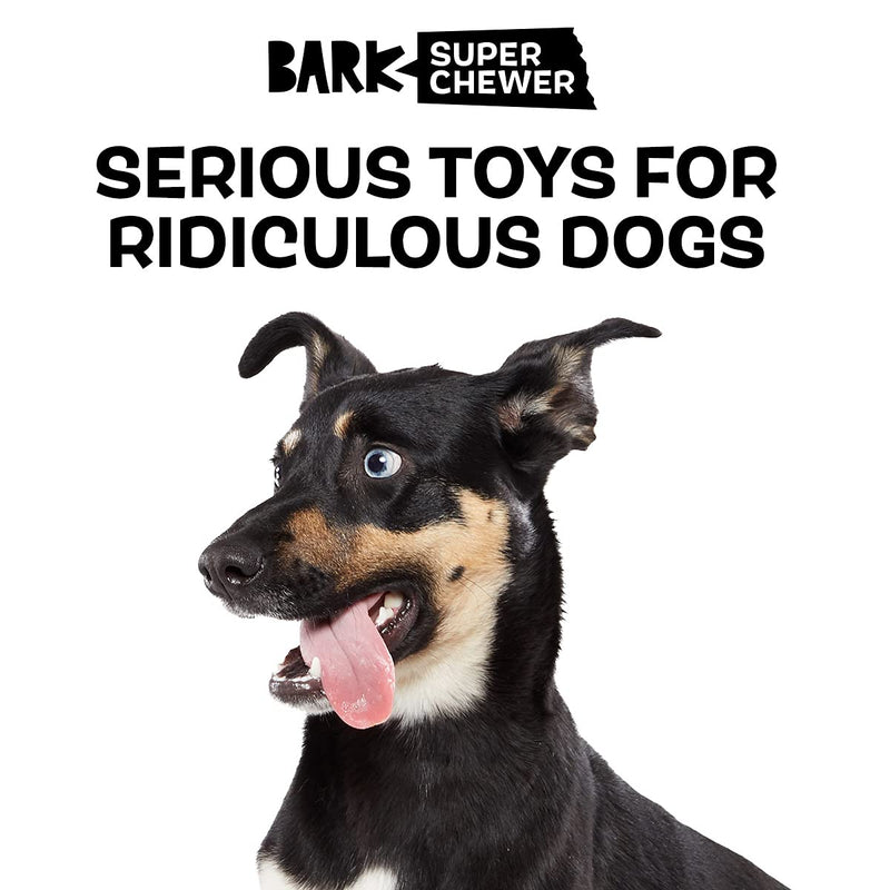 BarkBox Tough Dog Toys & Chews for Aggressive Chewers, Durable Rubber & Nylon Super Chewer Treat Dispensing, Balls, & Teething Toys for Small, Medium, & Large Dogs and Puppies Medium/Large Dog Dog Ness Monster - BeesActive Australia