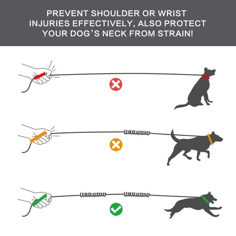 Pecute Hands Free Dog Leash with Multi Pouches, Strong Shock Absorbing Bungee Dog Leash with Reflective Stitches, 2 Handle Dog Waist Belt Leash for Running Hiking Walking Large Gray - BeesActive Australia