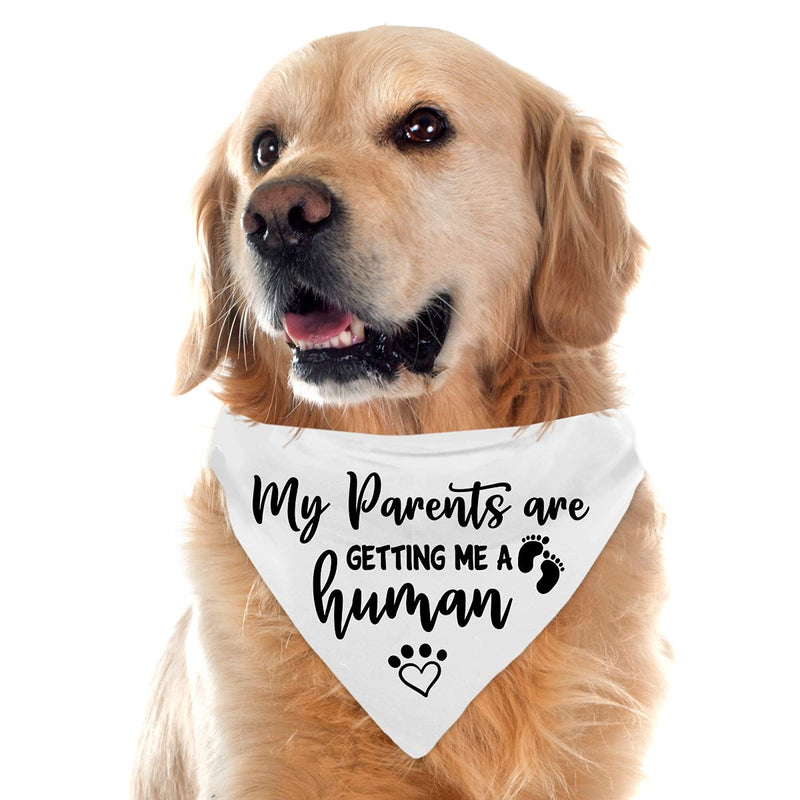 My Parents are Getting me a Human, Pregnancy Announcement Dog Bandana, Gender Reveal Photo Prop Pet Scarf Accessories,Pet Accessories for Dog Lovers, Pack of 2 - BeesActive Australia