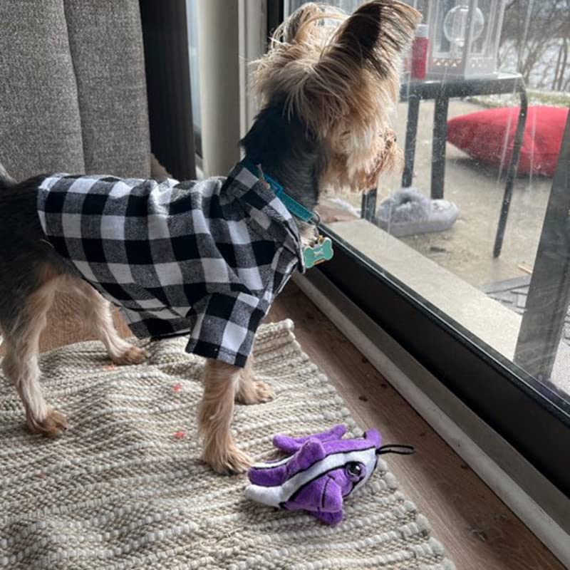 Snuggle Puppy Tender-Tuffs Tiny - Tough Plush Dog Toys for Puppies and Small Breeds - Stuffed Purple Angelfish with Puncture Resistant Squeaker - BeesActive Australia