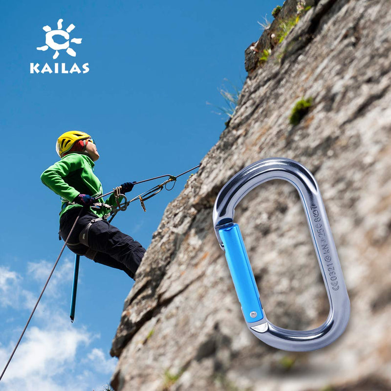 KAILAS Oval Climbing Carabiner Straight Gate CE Certified 25kN O Shaped Non-Locking Clip for Rock Climbing Mountaineering Ziplining Rappelling Rescue Keychain Dog Leash Iron Gray/Sky Blue Dimensions:110X61.2mm - BeesActive Australia