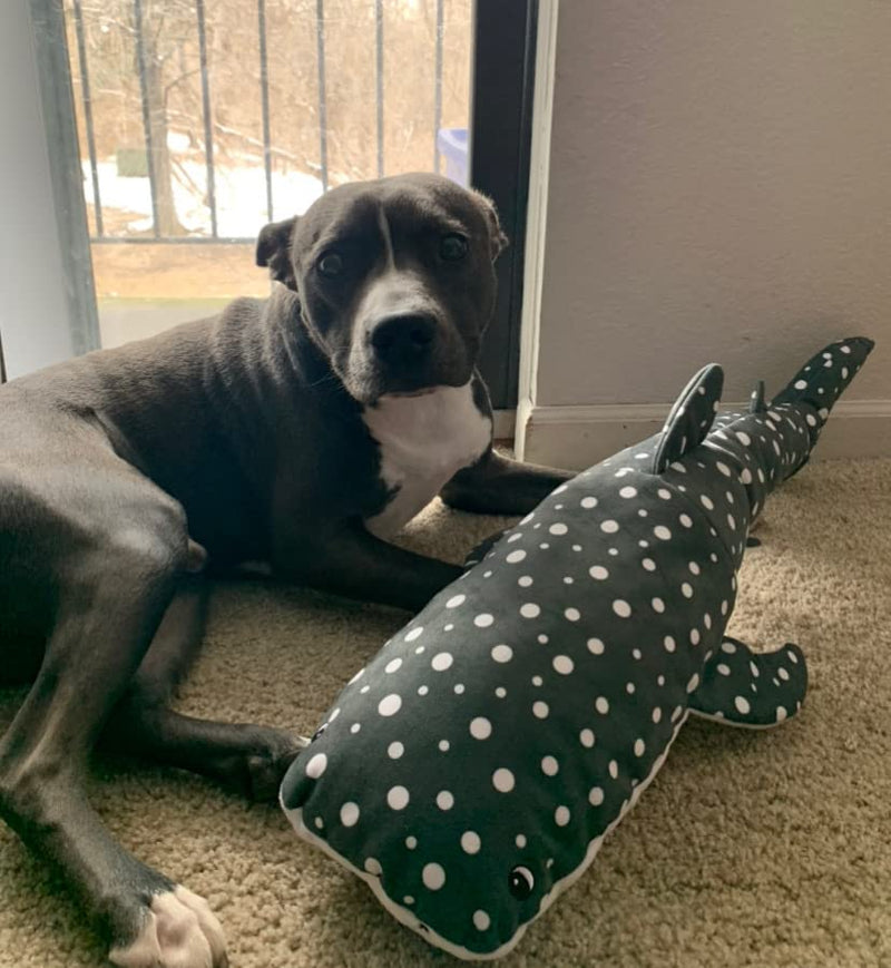 Snuggle Puppy Tender-Tuffs Extra Large Whale Shark and Big Manta Ray Plush Dog Toys Bundle - Tough Marine Animal Squeaky Toys - BeesActive Australia
