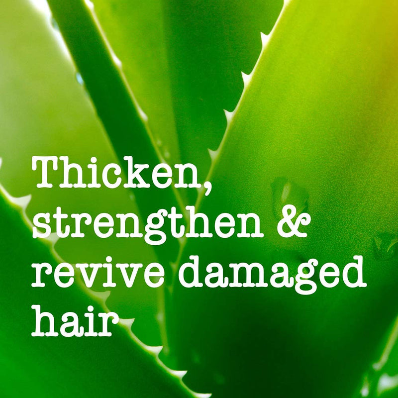 Maui Moisture Thickening and Volumising Aloe Vera and Bamboo Conditioner 385ml 385 ml (Pack of 1) - BeesActive Australia