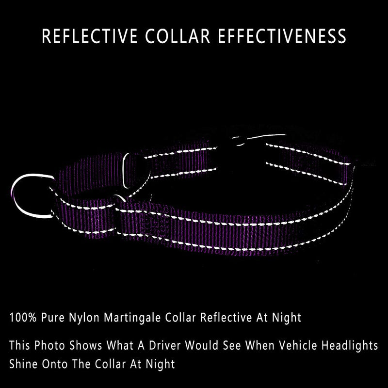 PLUTUS PET Reflective Martingale Collar with Quick Snap Buckle,No Pull Dog Choker Collar for Small Medium Large Dogs M:16"-20" Purple - BeesActive Australia