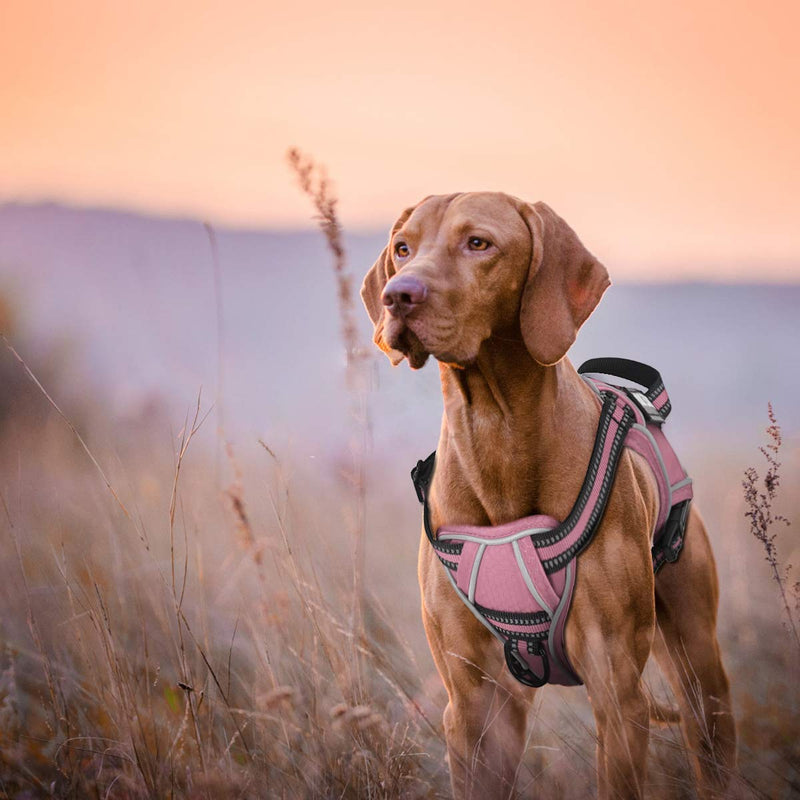 voopet Service Dog Harness, Easy On and Off Over Head Dog Vest Harness Fasten Quickly, Breathable and 3M Reflective Adjustable Pet Halters with Easy Control Handle for Small Medium Large Dogs X-Small (Pack of 1) Pink - BeesActive Australia