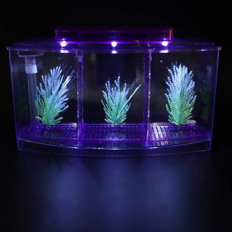 Sutinna Fish Tank, Adjustable Light Isolation Acrylic Small Aquarium, with LED Light for Small Fishes for Betta with Water Change Valve Blue,White,Purple - BeesActive Australia