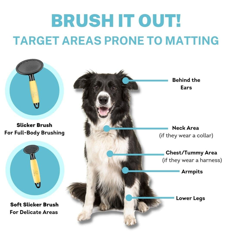 CONAIRPRO dog & cat Medium Dog Slicker Brush, Dog Brush for Shedding, Removes Tangles & Mats, Metal Pins for Removing Undercoat & Dander, Ideal for Midsized Breeds - BeesActive Australia