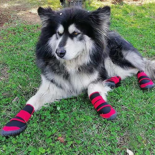 payanwin Dog Boots, Slip Resistant Waterproof 4pcs Dog Puppy Shoes for Small Medium Large Dogs with Adjustable Fastener Strap, Protect Pet Paws Easy to Wear (Red and Black) XL - BeesActive Australia