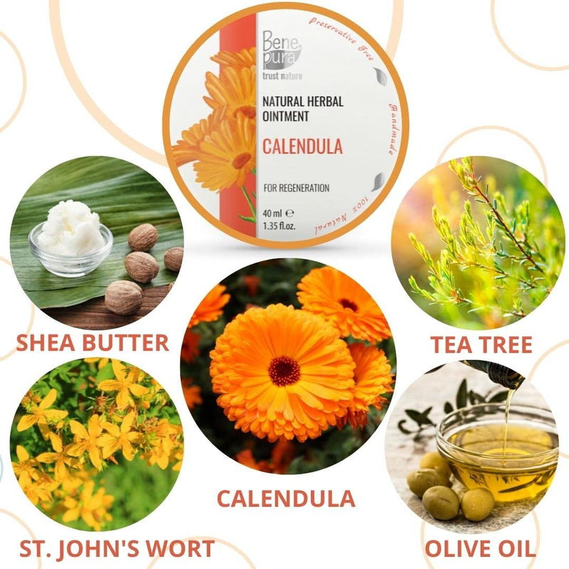 BenePura Calendula Ointment, Natural Wound Healing Ointment for Wounds and Minor Skin Burns, 40 ml 40 ml (Pack of 1) - BeesActive Australia