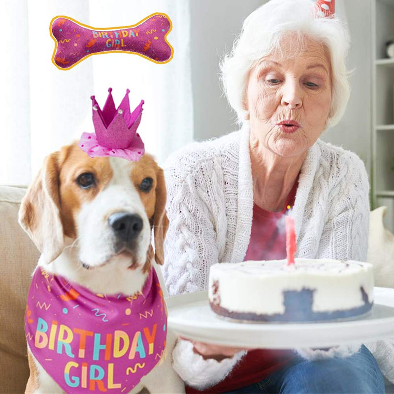 IDOLPET Dog Birthday Bandana Hat Happy Birthday Dog Toy Dog Party Set Pet Party Suppliers Dog Birthday Banner Scarf Birthday Accessories and Pet Decorations… Pink - BeesActive Australia