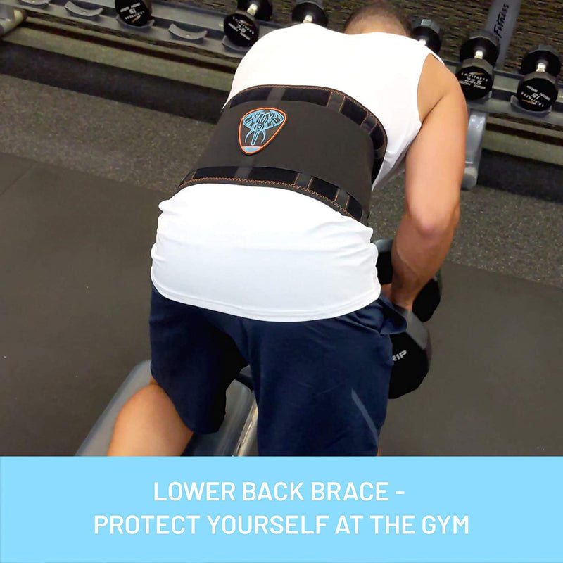 Lumbar Support Belt I Lower Back Brace by Everyday Medical I Targeted Lower Back Pain Relief for Back Spasms, Sciatica, Weight Lifting Waist Gym Belt for Sports I for Men and Women l Small/Medium S/M (68-93 CM Belly Circumference) - BeesActive Australia