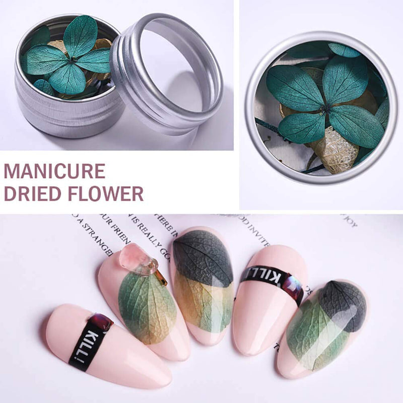 Dried Flowers Nail Art Supplies - 3D Nail Art for Acrylic Nails Dry Flowers for Resin Nails Decorations Accessories Mini Flowers Small Tiny Natural Real Flower Decor Manicure Design Kit - 45 PCS - BeesActive Australia