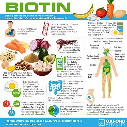 Biotin Tablets 5000mcg | High Strength Supplement | Skin, Hair & Metabolism Support | Vegetarian and Vegan | Oxford Vitality 120 Count (Pack of 1) - BeesActive Australia