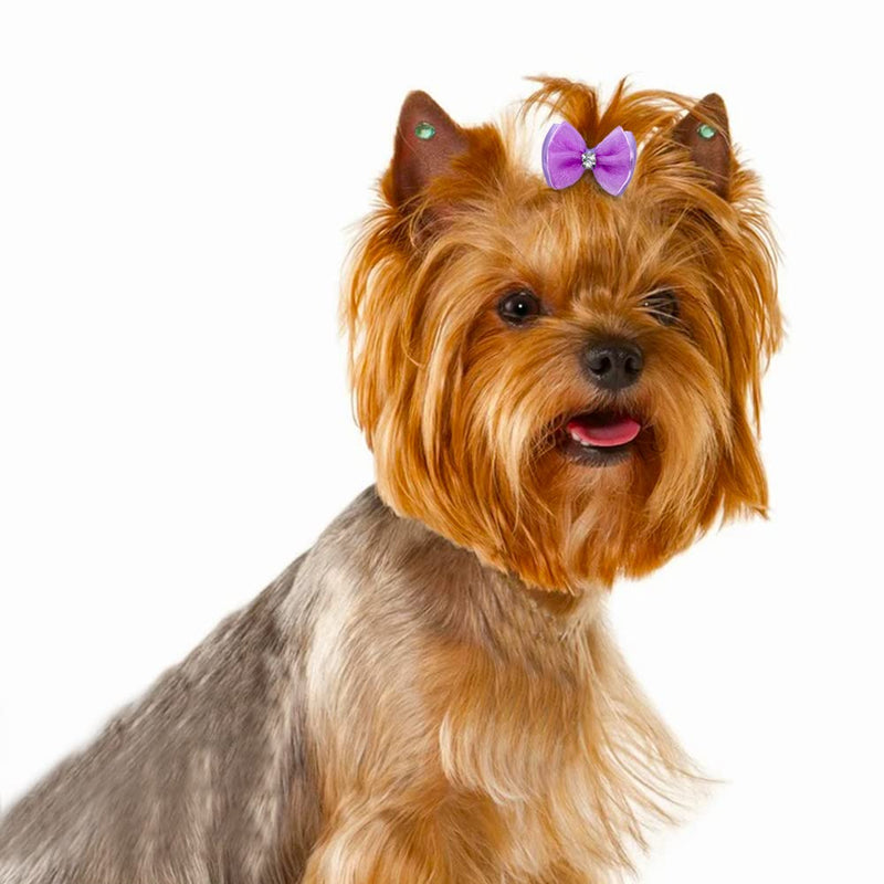 Senniea 60PCS Pet Hair Bows, Puppy Dog Bows with Rubber Bands, 20pcs with Drills and 40 pcs Pure Yarn Handmade Pet Hair Grooming Attachments with Rubber Bands - BeesActive Australia