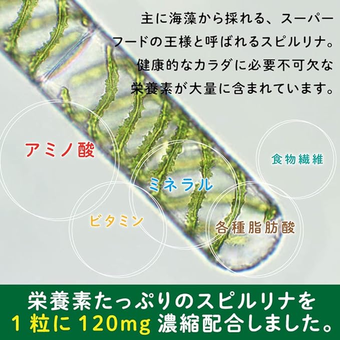Euglena & Spirulina grains Large capacity approximately 6 months supply/180 grains (9000 mg of precious Euglena, 21600 mg of Spirulina, organic barley grass, 460 types of enzymes & extracts, coenzyme Q10, 6 types of minerals, calcium, vitamins) - BeesActive Australia