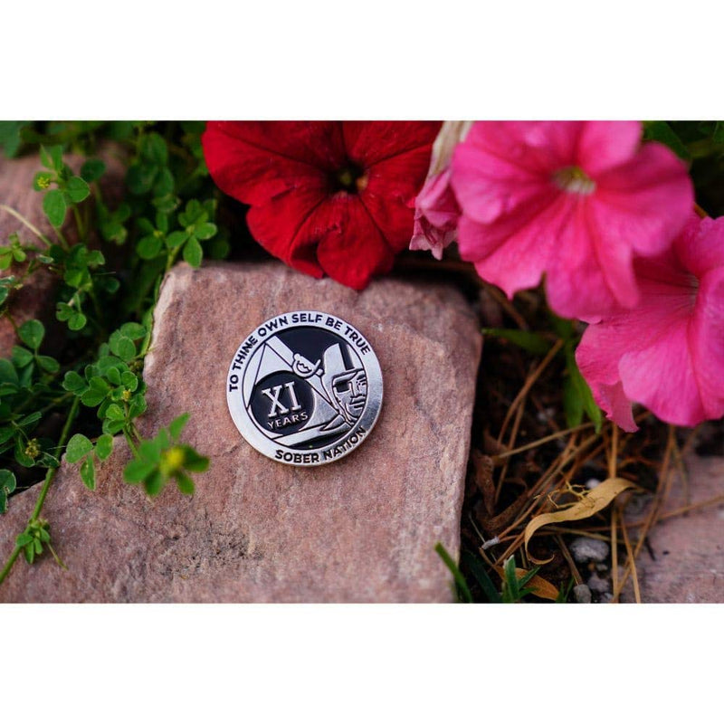 [AUSTRALIA] - MyRecoveryStore Silver and Black Pirate Alcoholics Anonymous AA Chip w/Coin Capsule AA Yearly Medallion 1-50 Years Year 48 