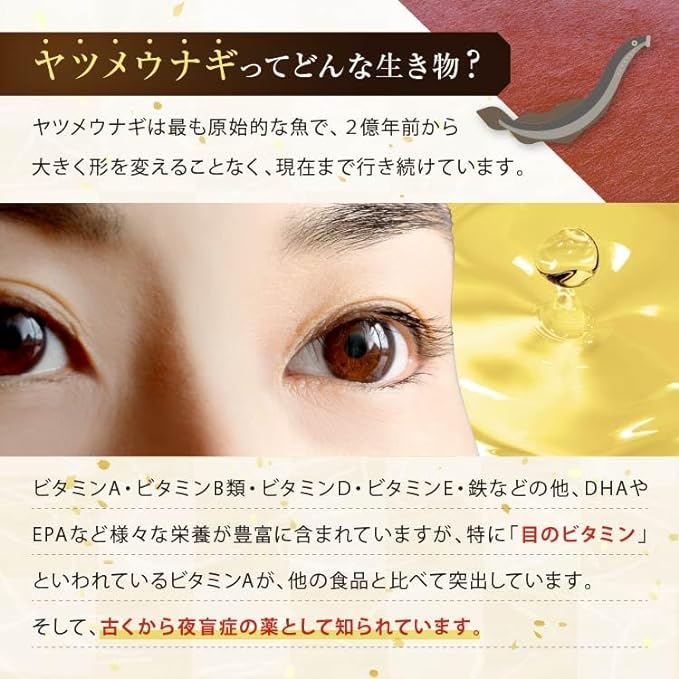 Lamprey Supplement Lamprey Eel Natural Vitamin A Supplement AILK High Concentration Lamprey Liver Oil Supplement Eye Care Oil Supplement Natural Lamprey Supplement Good for Eyes - BeesActive Australia