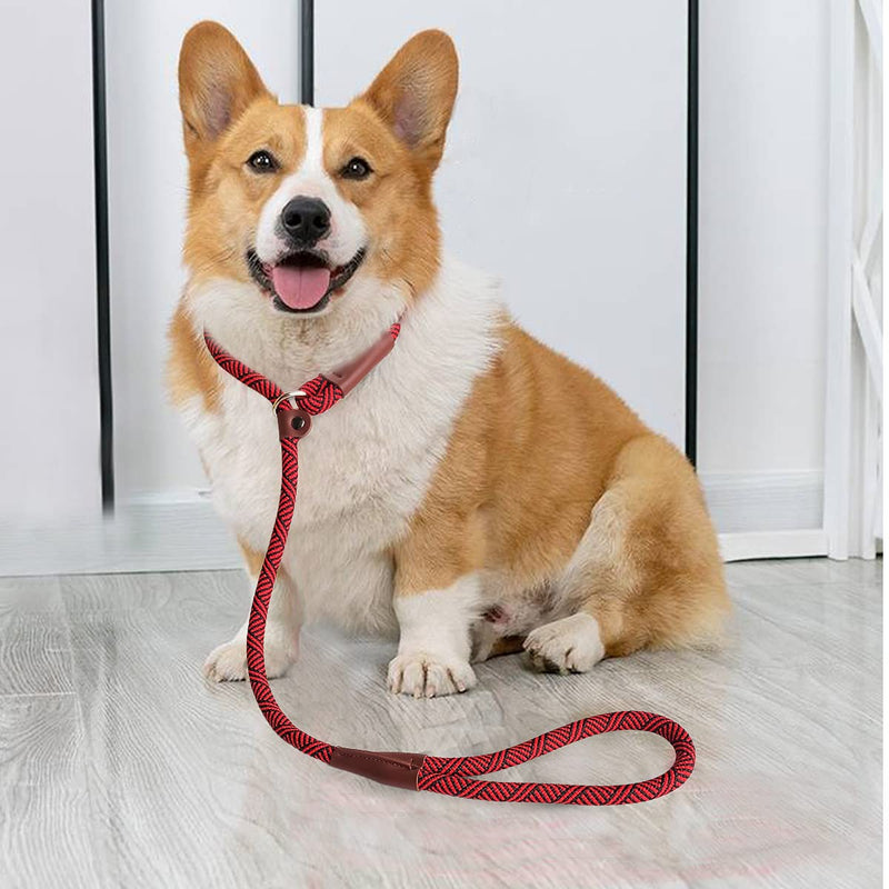 SEPXUFORE 3FT Slip Lead Dog Leash, 1/2 inch Rope Dog Walking and Training Lead, No Pull Strong Nylon Leash Great for Medium and Large 1/2" x 3ft Red - BeesActive Australia