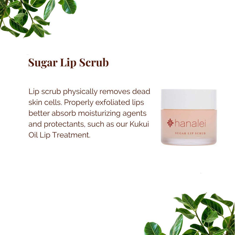 Vegan and Cruelty-Free Sugar Lip Scrub Exfoliator by Hanalei – Made with Hawaiian Cane Sugar, Kukui Oil, and Shea Butter to Exfoliate, Smooth, and Brighten Lips Made in the USA (22 g) - BeesActive Australia