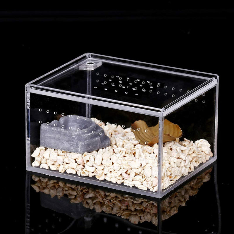 NANEEZOO Acrylic Reptile Breeding Box, 5x4x3 Inch Nano Flat/Long Enclosure Transparent Reptile Breeding Box Terrarium Cage Tank for Tarantula Scorpion Sling Isopods Invertebrates Insect Mantis - BeesActive Australia