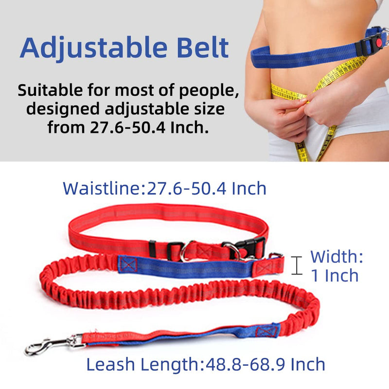 Hands Free Running/Walking/Training Dog Leash of 4 feet, Reflective Stitching Safety Proof Locking Buckle Waist Belt of 50.4 Inch/128 cm, Comes with a Bonus Dog Collar. Medium Leash (Blue/Red) + Collar (red) - BeesActive Australia