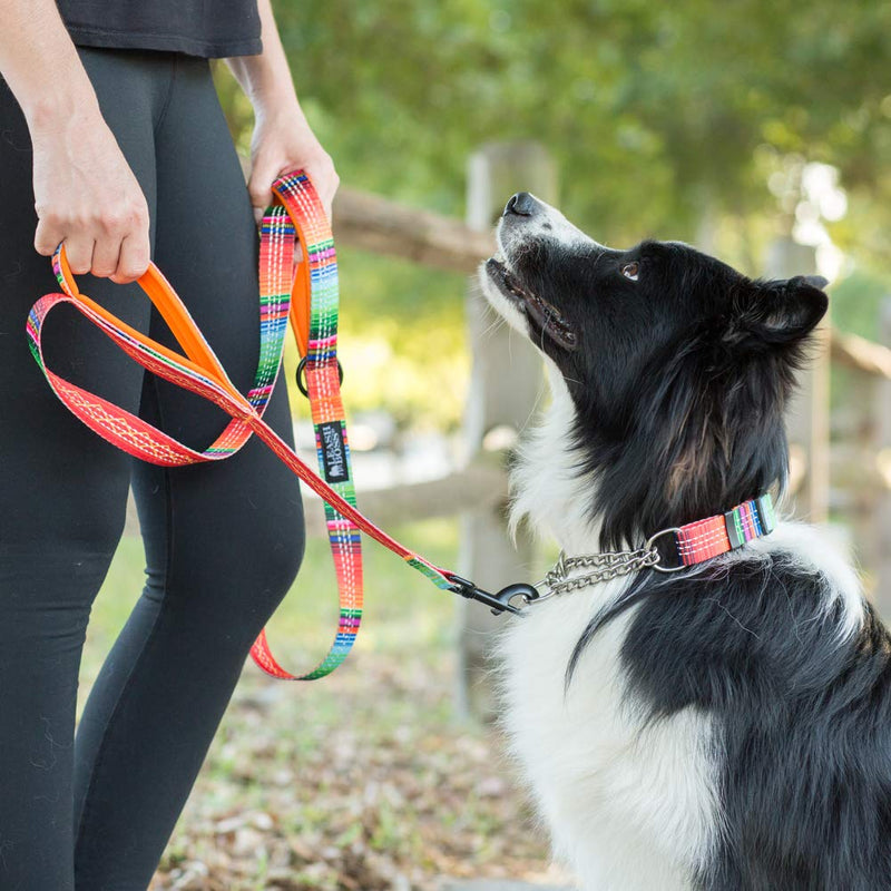 Leashboss Chain Martingale Patterned Reflective Dog Collar, Pattern Collection, Stainless Steel Chain, No Pull Training Collar Medium-Large (16-19" Neck x 1" Wide) Orange - Blanket - BeesActive Australia
