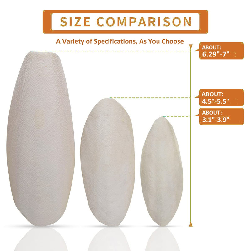 2 Pcs Large Cuttlebone for Birds Parrots, Cuddle Bones with Plastic Holder for Cockatiels Parakeets Budgies Finches, Extra Large Cuttlefish Bone About 6.29" Orange - BeesActive Australia
