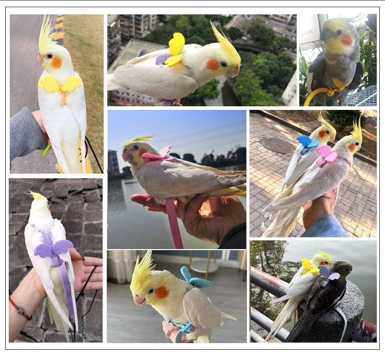 Parrot Harness and Leash Set - Elastic Rope with Adjustable Harness Cute Wing, Suitable for Meduim Size Bird Like Alexandrine Parakeet, Red-Breasted Parakeet, Caique, Mini Macaw BLACK - BeesActive Australia