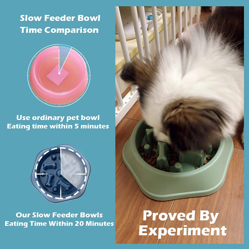 Slow Feeder Dog Bowls Slow Feeding Dog Bowl Small Medium Breed Dog Food Bowls Slow Feed Dog Bowl Slow Eating Dog Slow Feeder Bowl Puppy Dog Puzzle Slow Feeder Eater Bowl Lick Mat Treat Mat for Dogs 6.Blue - BeesActive Australia