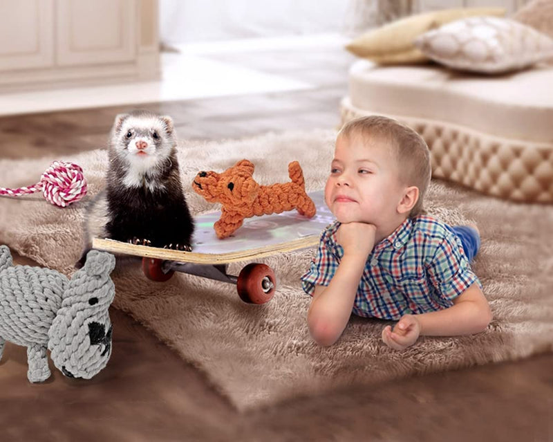 HAICHEN TEC 6 Pack Ferret Rope Chew Toys, Durable Knotted Rope Tug Perfect for Teething Mammals, Cotton Rope Toys Interactive Dog Rope Toy Set Machine-Washable - BeesActive Australia