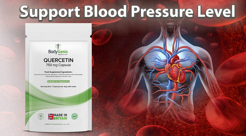 Bodygenix Quercetin 750mg Veg Capsule Bodygenix UK Manufactured Energy Booster Supplement (30) 1 Month Supply 30 - BeesActive Australia
