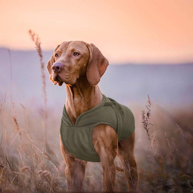 Kuoser Canvas Cold Weather Dog Coat for Winter, Reflective Dog Warm Fleece Jacket Water Repellent Windproof Dog Vest for Small Medium Large Dogs with Zipper Leash Hole XS-3XL X-Large (Pack of 1) Army Green - BeesActive Australia